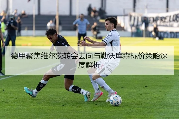 德甲聚焦维尔茨转会去向与勒沃库森标价策略深度解析 | kaiyun